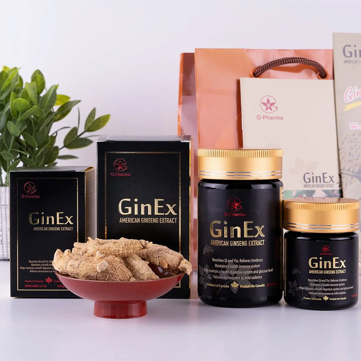 GinEx® 100克人參萃取物濃縮液（純）（2瓶） G-Pharma 加拿大