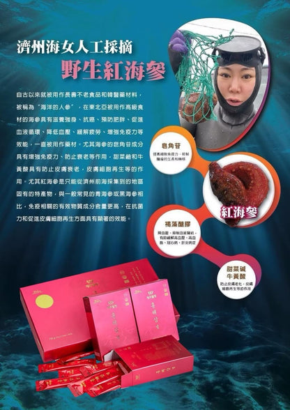 （預售-11月發貨）JEJUWELLING韓國濟州島紅海參修復飲