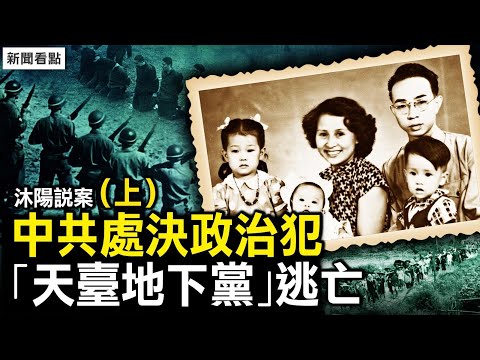 【沐陽說案】他文革時加入「天臺地下黨」，在目睹中共處決政治犯後，才發現必須逃離中國……